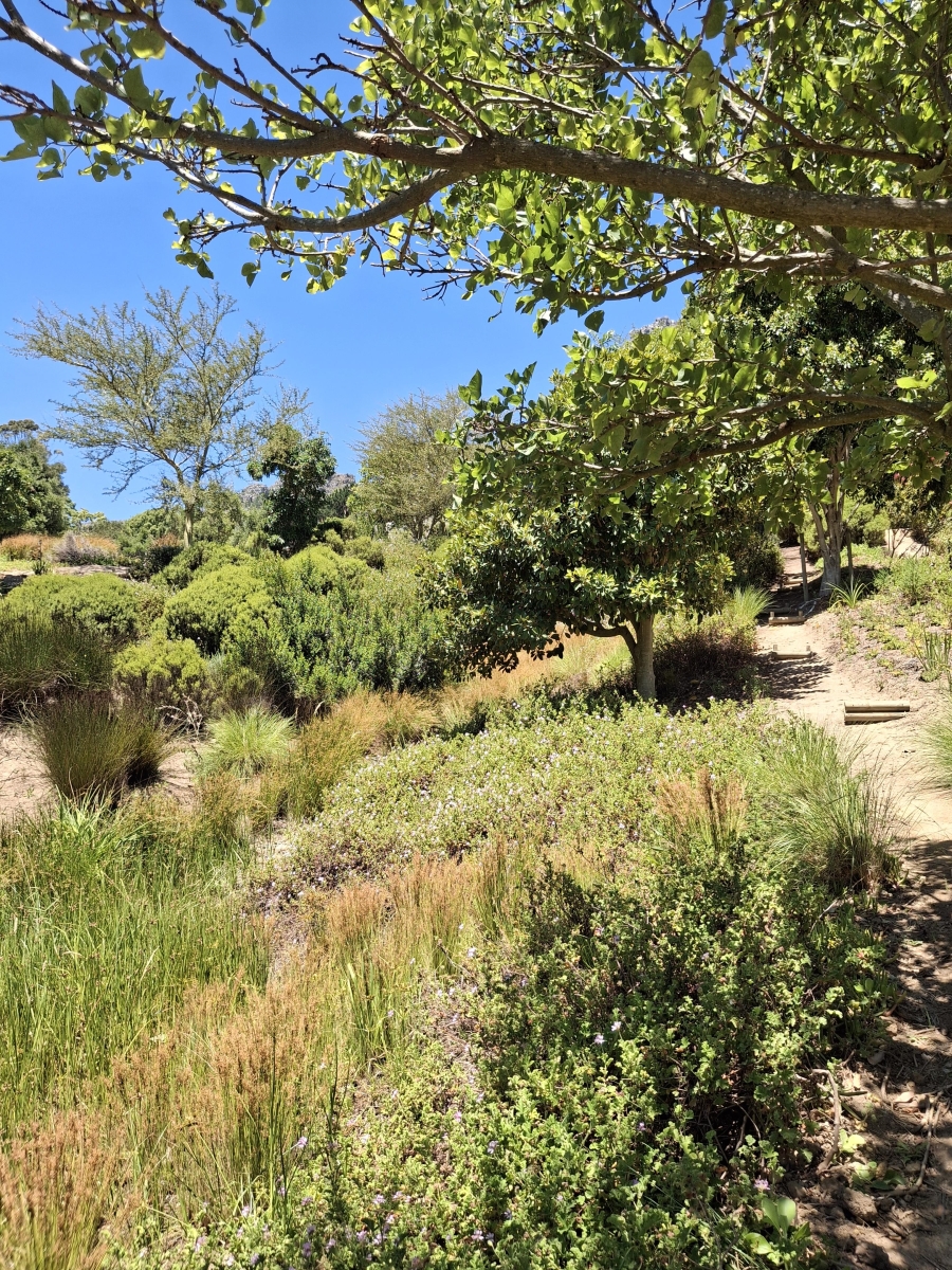 4 Bedroom Property for Sale in Bokkemanskloof Western Cape